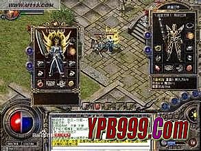 ��Ѫ����ȥ�����װ��