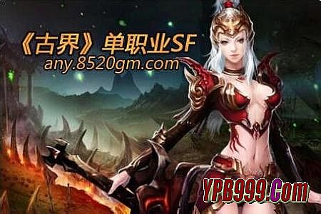 ��̬��������