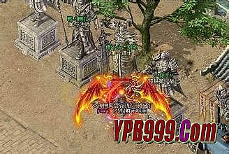 ��ͨ����3g˽��������