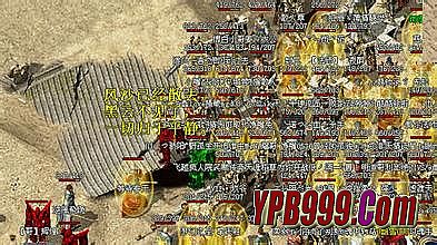 ����̬��������2