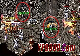 11月7号新开传奇的手游